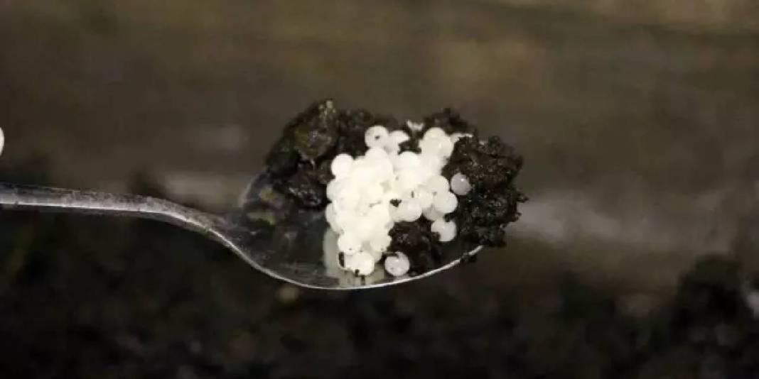 Trabzon’da üretiyor, dünya pazarında yok satıyor! İhracat potansiyeli hızla artıyor: 3 bin Euro’ya kapış kapış alıyorlar 4